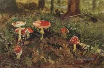 amanita 1879 mushroom Ivan Ivanovich Oil Paintings